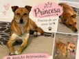 Princesa