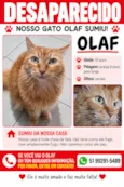 Olaf