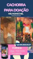 Mel