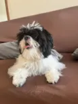 Nick 