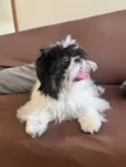 Nick 