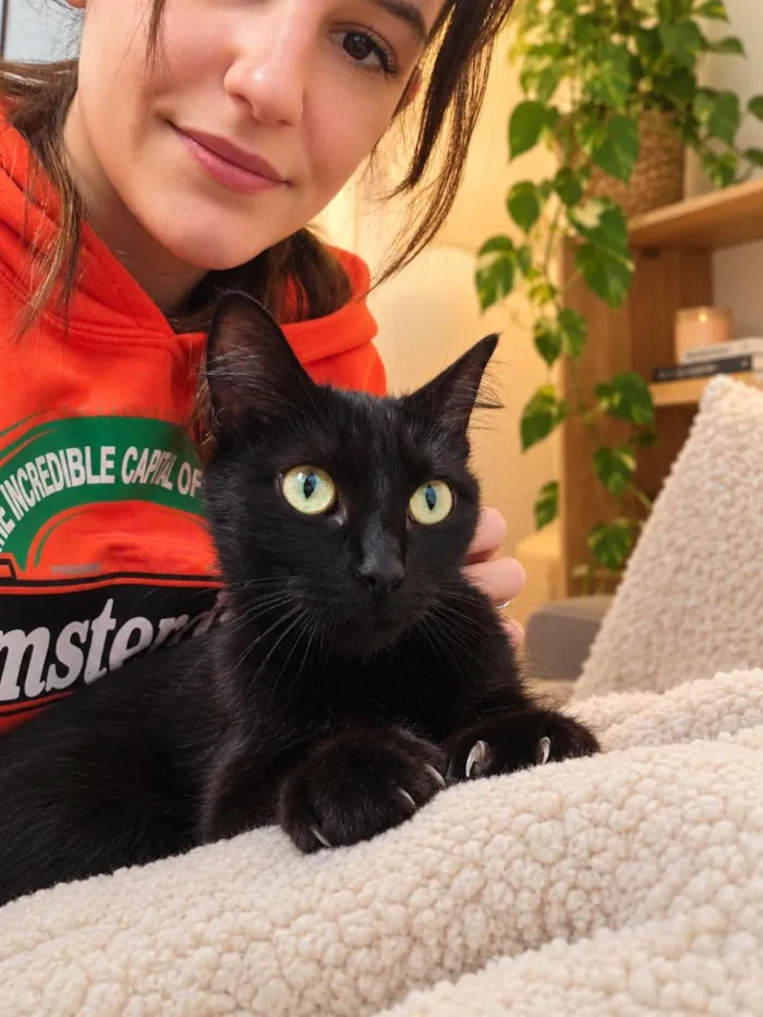 Gato raça SRD-ViraLata idade 2 anos nome Savana