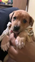 Lucky