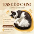 Cain