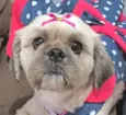 Zoe