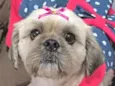 Zoe