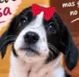 Rebeca