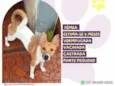 Luma