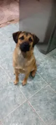 Paçoca