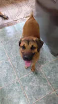 Paçoca