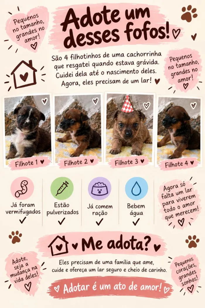 Cachorro raça SRD-ViraLata idade 2 a 6 meses nome Machos e fêmea 