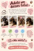 Machos e fêmea