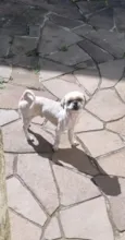 Olaf