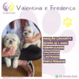 Valentina e Frederico 