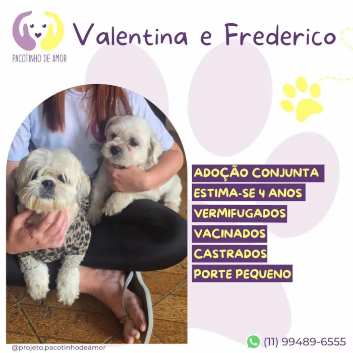 Cachorro raça SRD-ViraLata idade 4 anos nome Valentina e Frederico 