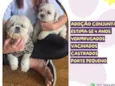 Valentina e Frederico