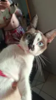 Lola