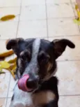 Bingo