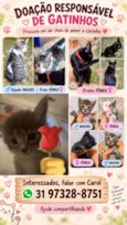 safira, Luna, Thayes, thalisson, Taylor, bella