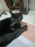 Kuro
