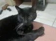 Kuro