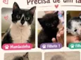 sem nome