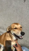Kiara