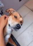 Kiara