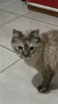 Dora