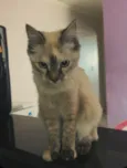Dora