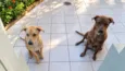 GORDO & MADU 