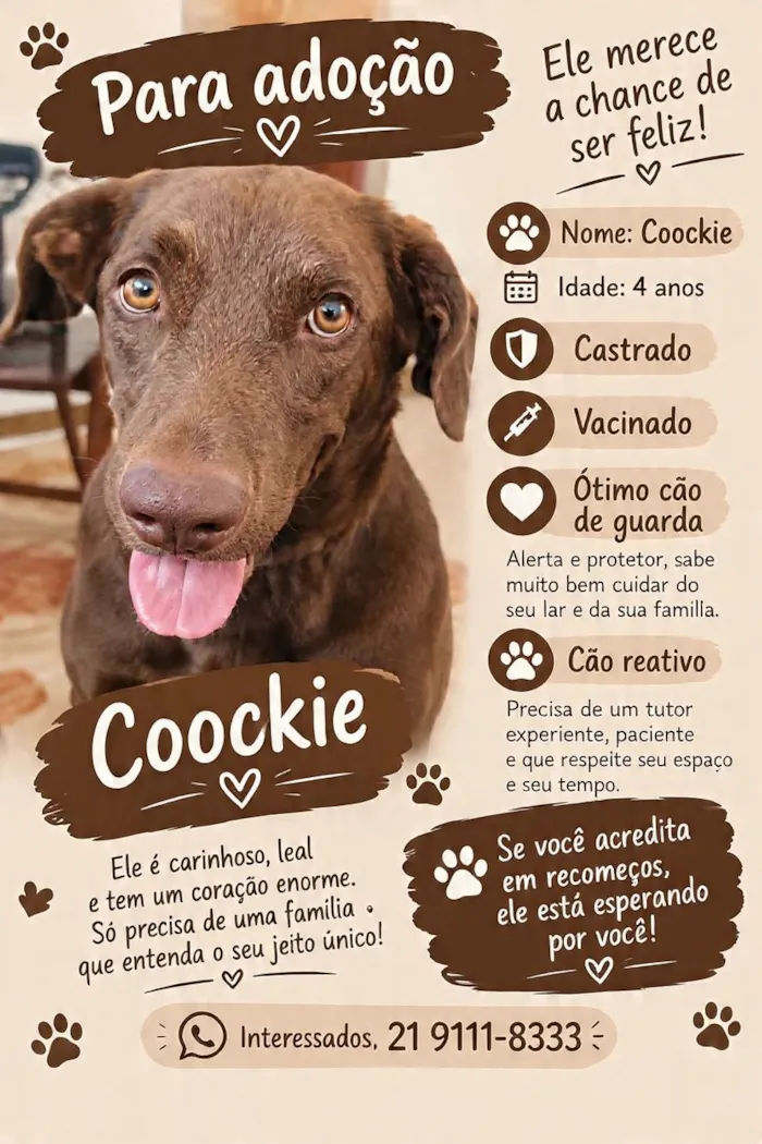 Cachorro raça SRD-ViraLata idade 4 anos nome Cookie