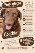 Cookie