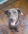 Cookie