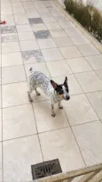 Mel 