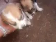 luna e Kiara
