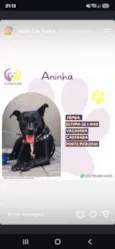 Aninha