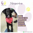 Neguinha