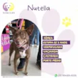 Nutella
