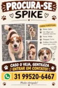 Spike