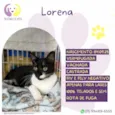 Lorena