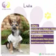 Lulu