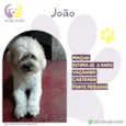 João