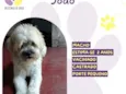 João