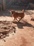 zeus e theo