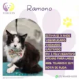 Ramono