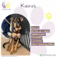 Kairos