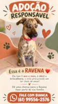 Ravena