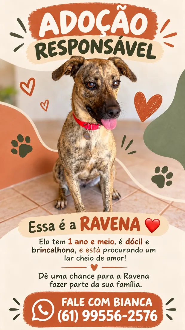 Cachorro raça SRD-ViraLata idade 1 ano nome Ravena
