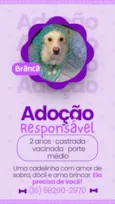 Branca